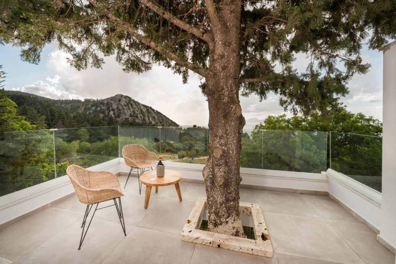 Forest View Villas 1 Lagoudi Zia Екстер'єр фото