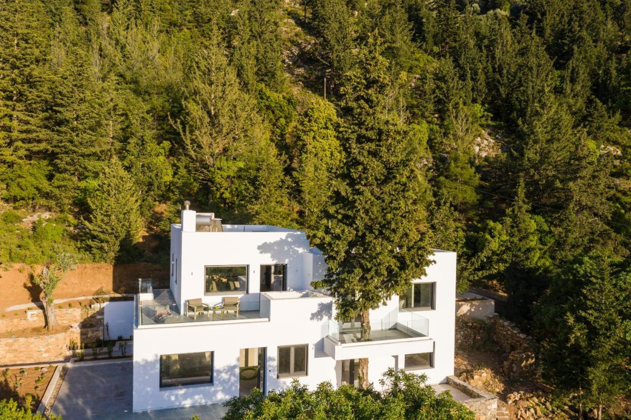 Forest View Villas 1 Lagoudi Zia Екстер'єр фото