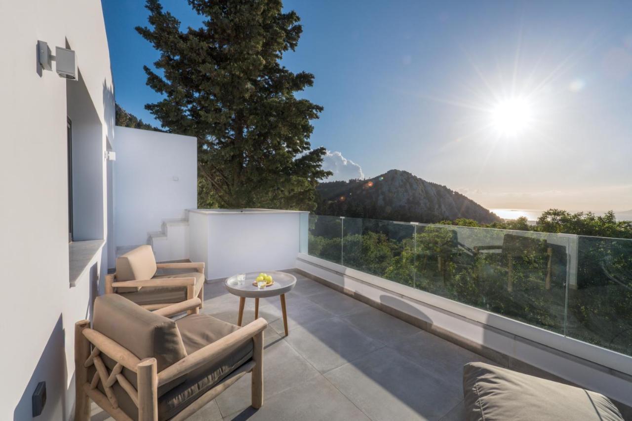Forest View Villas 1 Lagoudi Zia Екстер'єр фото