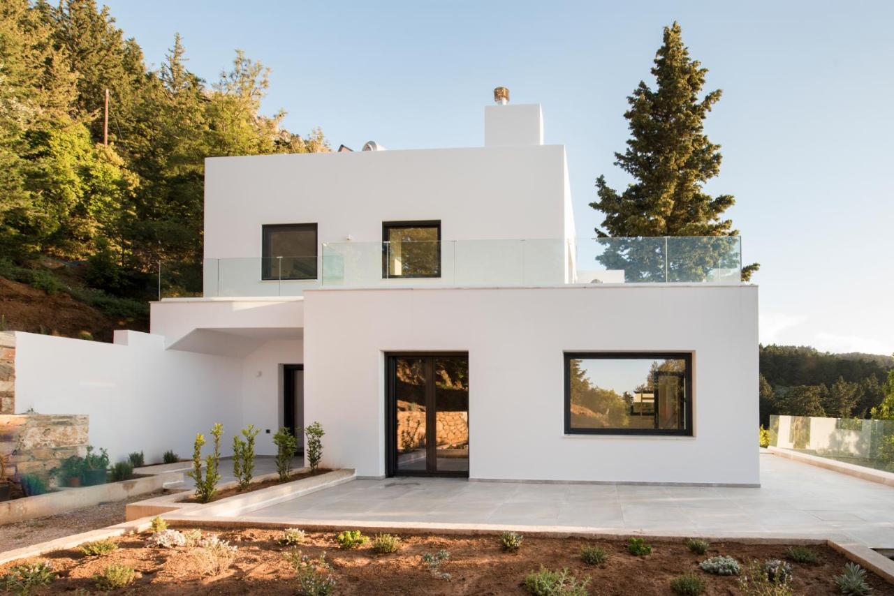 Forest View Villas 1 Lagoudi Zia Екстер'єр фото